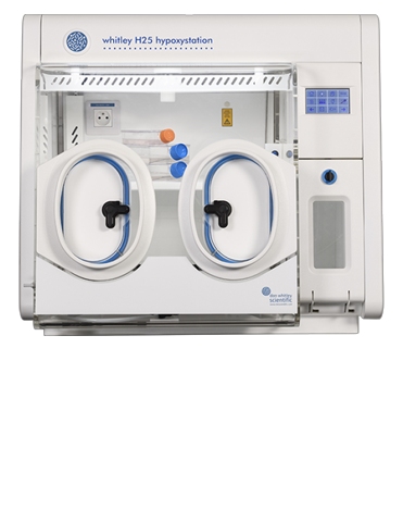 Whitley H25 Hypoxystation